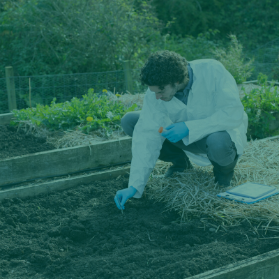 Carrying out a soil analysis