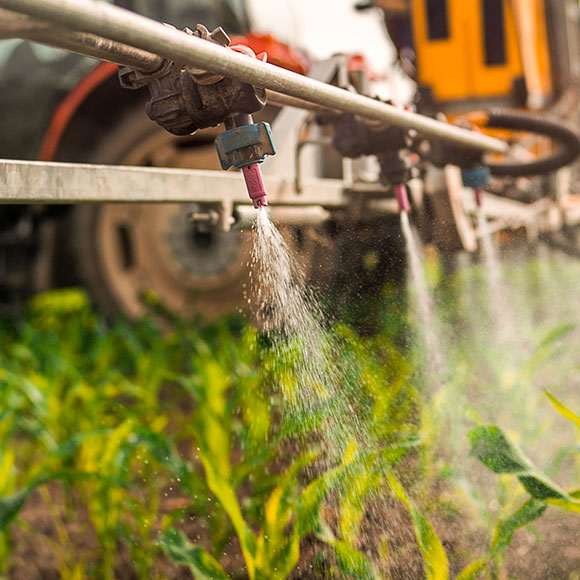 Watering crops - Agrisure, Farm & Agricultural Insurance